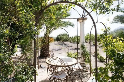 Desconexi�n Entre Olivos Centenarios