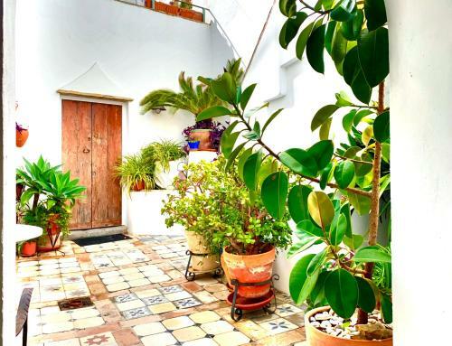 Apartamento Casa La Fuente C Casas Vejer Debra