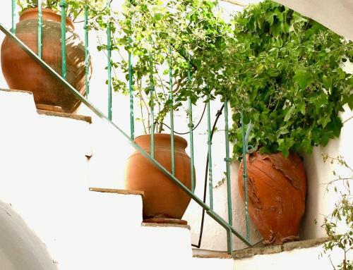 Casa Del Patio �rabe Casas Vejer Debra