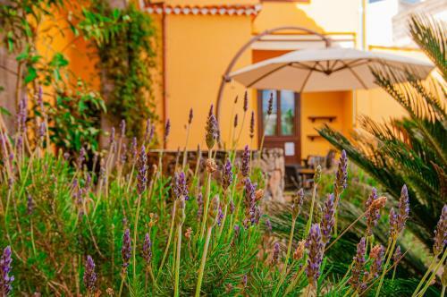 Hotel El Tejar & Spa