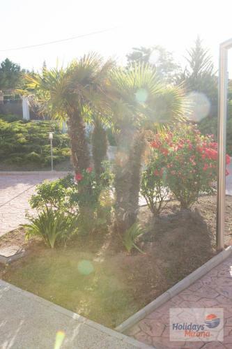 Hostal Holidays Mirana