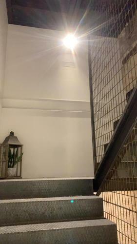 The Botanic Hostel