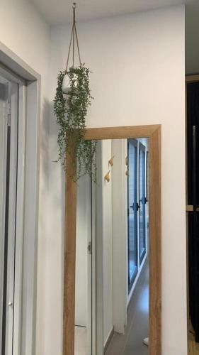 The Botanic Hostel