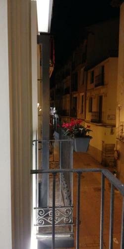 The Botanic Hostel