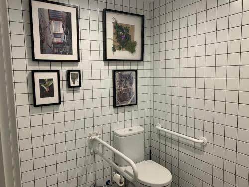 The Botanic Hostel