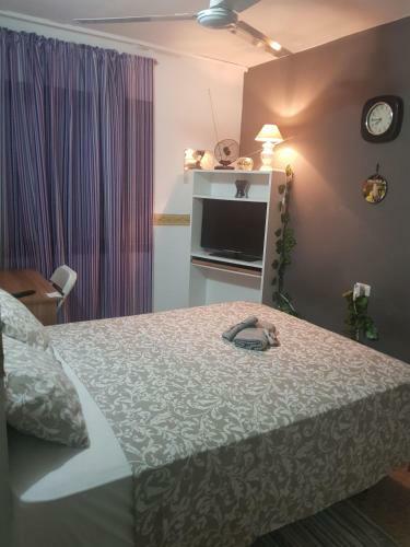 Hostal Room In Guest Room - Private Individual Room With Exit Terrace And Shared Bathroom