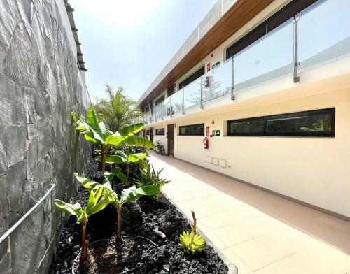 Apartamento de Lujo Con Acceso Directo A La Playa San Agustin
