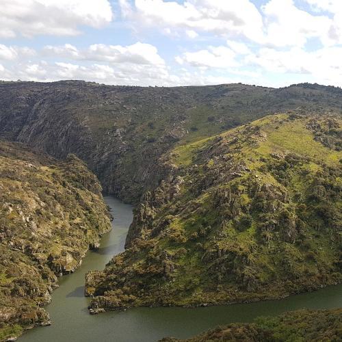 Hostal Flor Do Douro