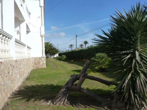 Apartamento En Primera Linea Playa Ref 285