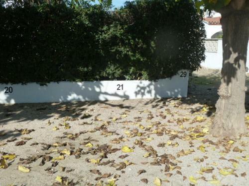Apartamento En Primera Linea Playa Ref 285