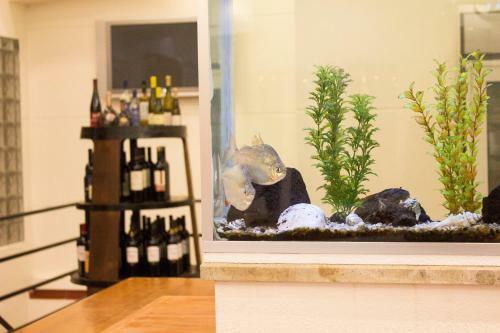 Hostal Areia Dourada
