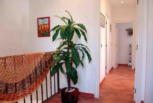 Coma-ruga Villa Sleeps 8 Pool