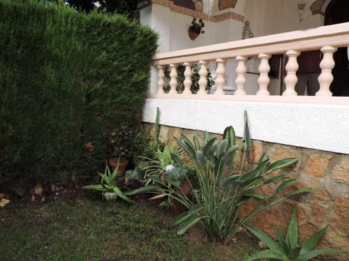 Villa Doree 540