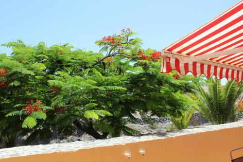 Perfecto Apartamento De Playa
