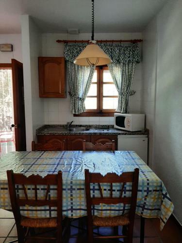 Camping Carlos I