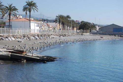 Apartamento A&n Seaport 1b