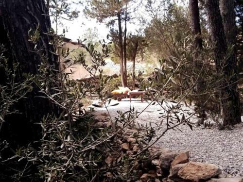 Apartamento Loft Sant Joan 2