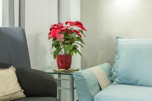 Apartamento Soraya
