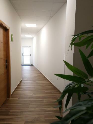 Apartamentos Antares Sl