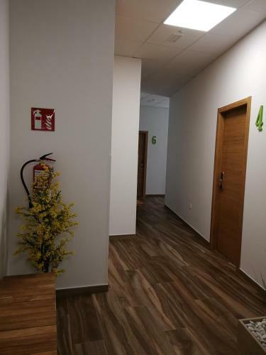 Apartamentos Antares Sl