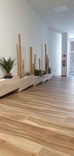 Apartamentos Antares Sl