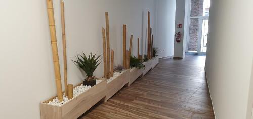 Apartamentos Antares Sl