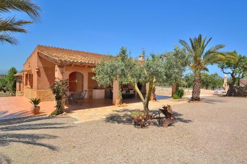 Son Morro Finca 230