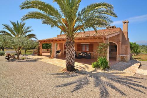 Son Morro Finca 230
