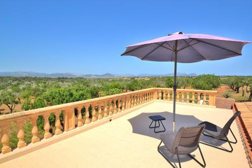 Son Morro Finca 230