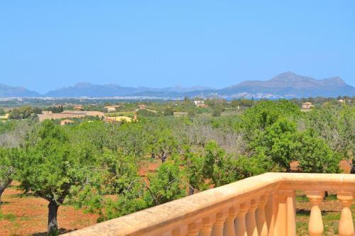 Son Morro Finca 230