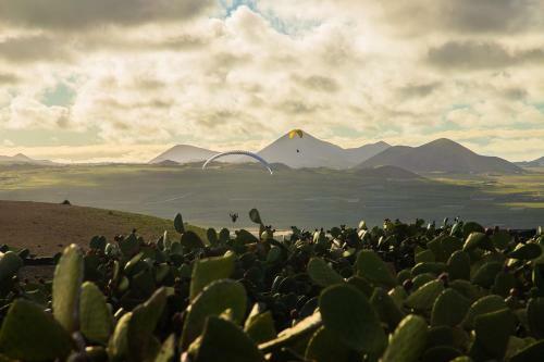 Luxurious Eco Dome Experience Lanzarote