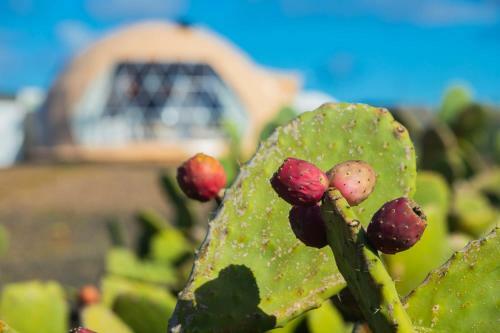 Luxurious Eco Dome Experience Lanzarote