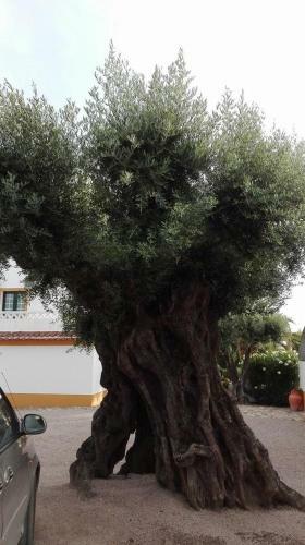 Hostal Monte Dos Aroeirais