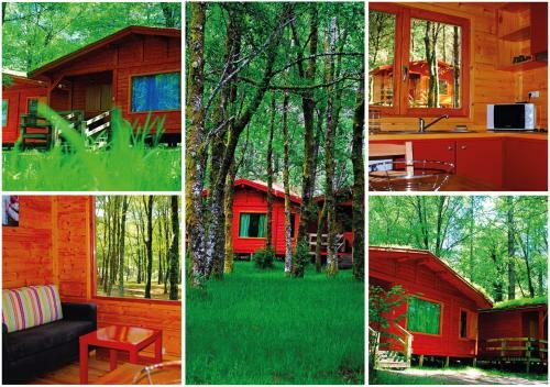 Apartamento Bungalows Da Peneda