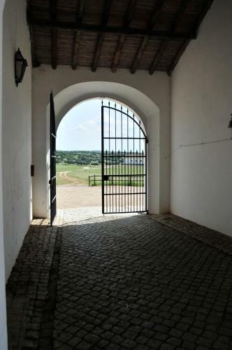Herdade Da Negrita - Agroturismo