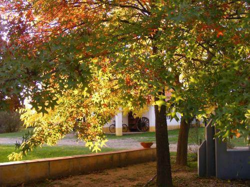 Agroturismo Quinta Dos Trevos