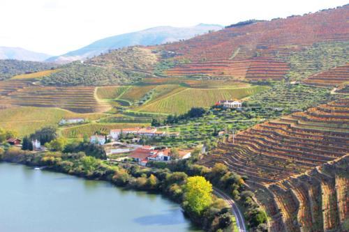 Hostal Douro Fluvina Yachts & Chalets