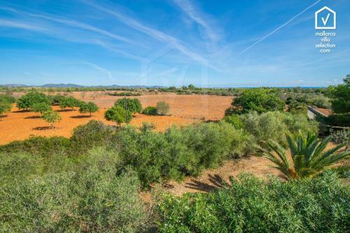 Finca Vistalegre