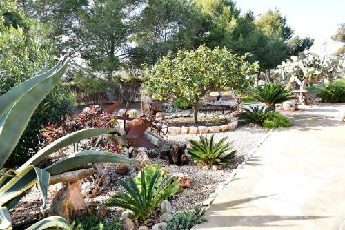 Finca Hort De Sa Barrala