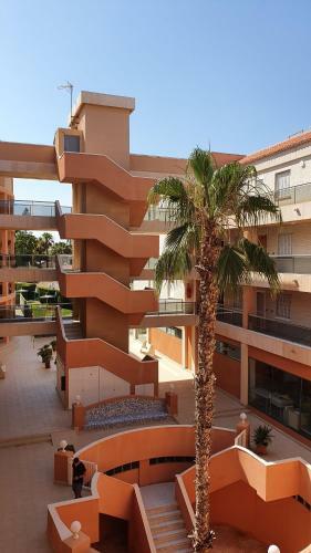 -- Front Line -- Apartments In Playa Flamenca