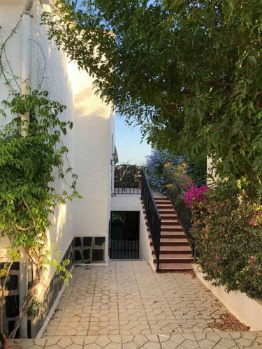 Sonniges Apartment An Der Costa Blanca