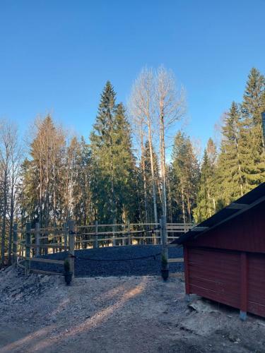 Huumoriharju