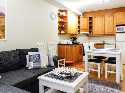 Holiday Home Levi Hiiht�j�nkuja 5 A 2
