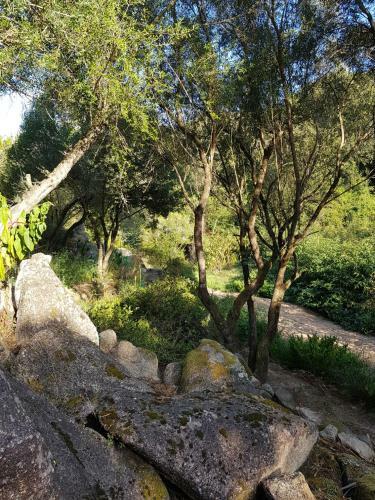 Hostal A Vadina