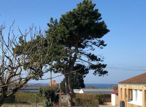 Camping L'eglantier