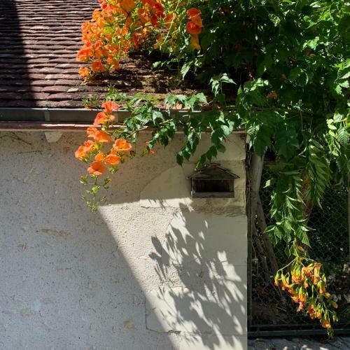 Bed & Breakfast Maison Clairbois