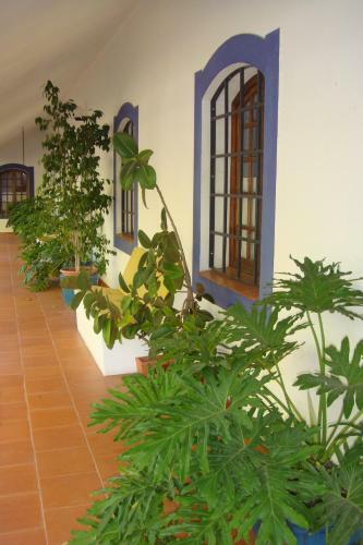 Hostal Monte Dos Arneiros
