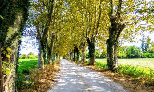 Le Temps D'un Week-end � Arles-camargue Vacances-arles Camargue