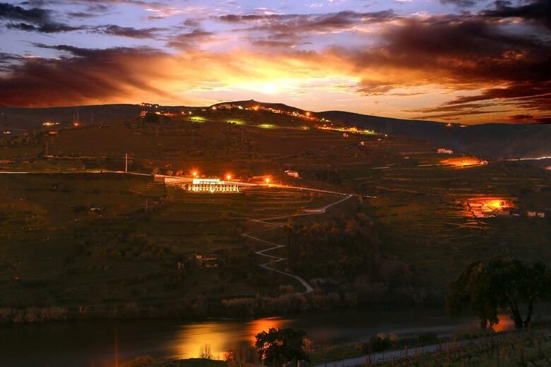 Delfim Douro Hotel