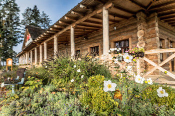 Motel Picaro Stok